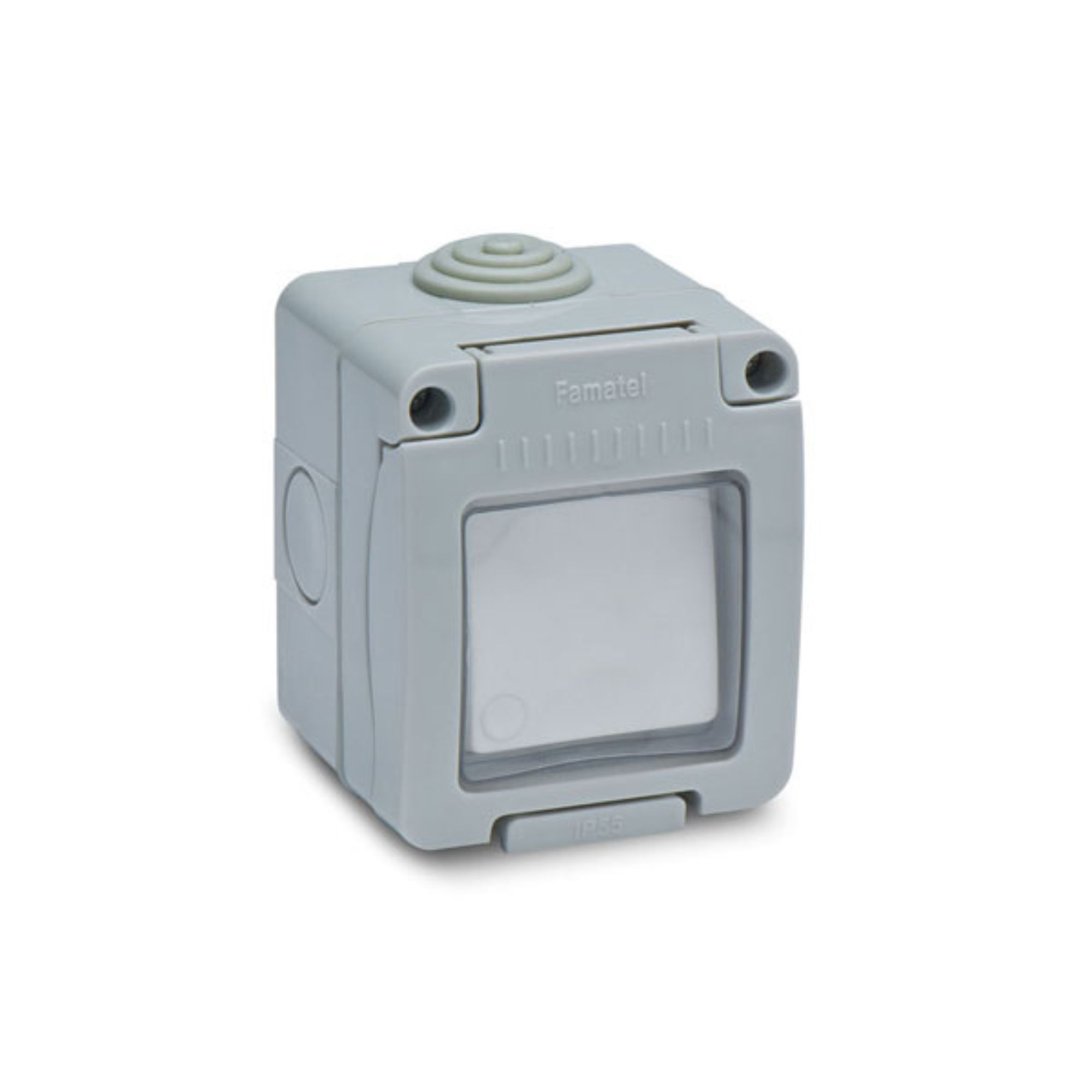 Lihtlüliti, pinnapealne, hall, IP55, kaanega, Famatel