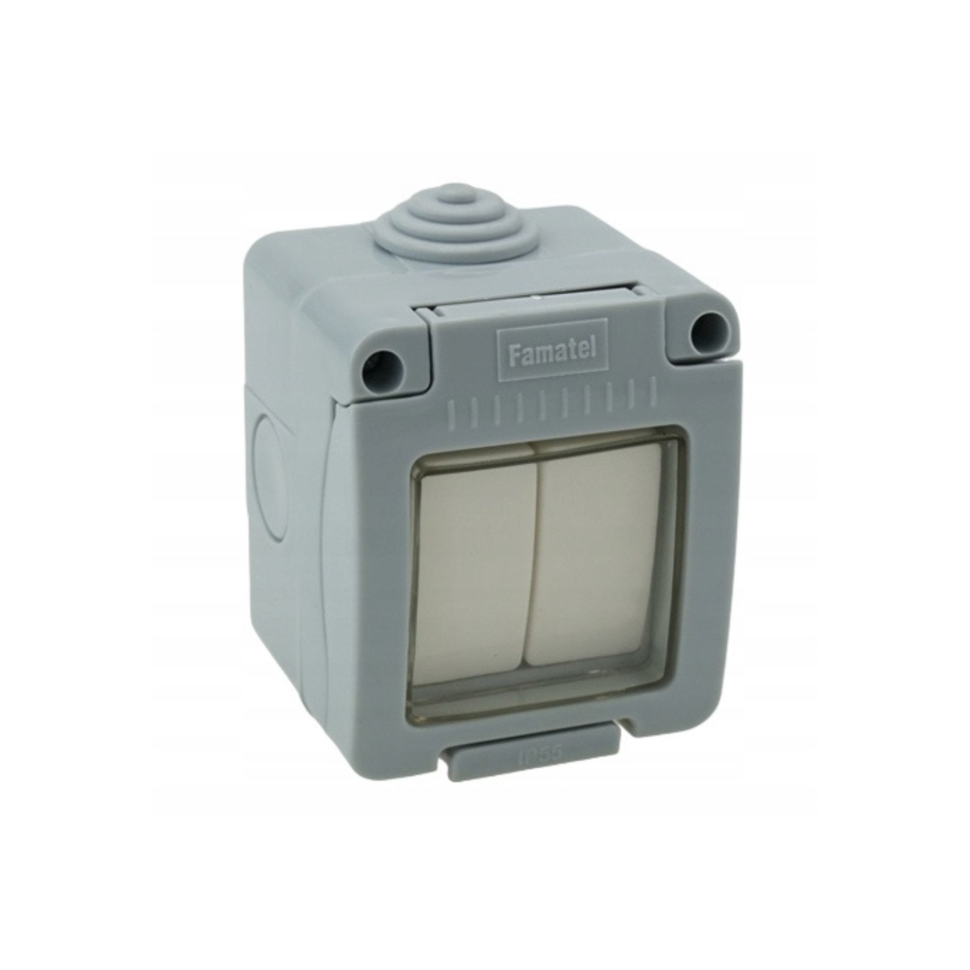 Grupilüliti, pinnapealne, hall, IP55, kaanega, Famatel