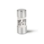 Silindriline sular 22*58, 80A, 500V, gG
