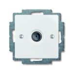 TV pesa, kattega, alpivalge, Basic55