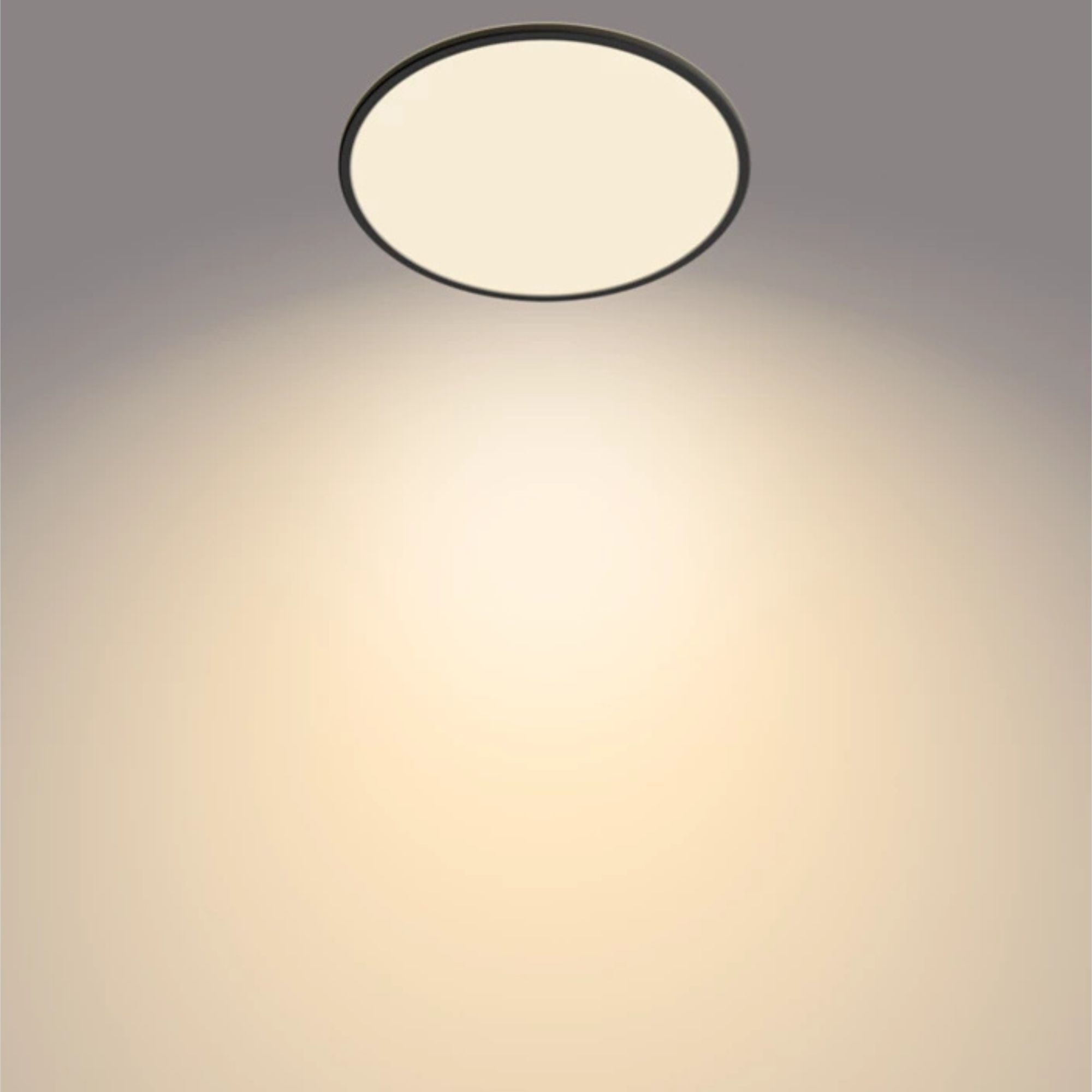 LED Plafoon Superslim, 22W, 2000lm, 2700K, 3 lülitusastet, IP20, Philips - Image 2