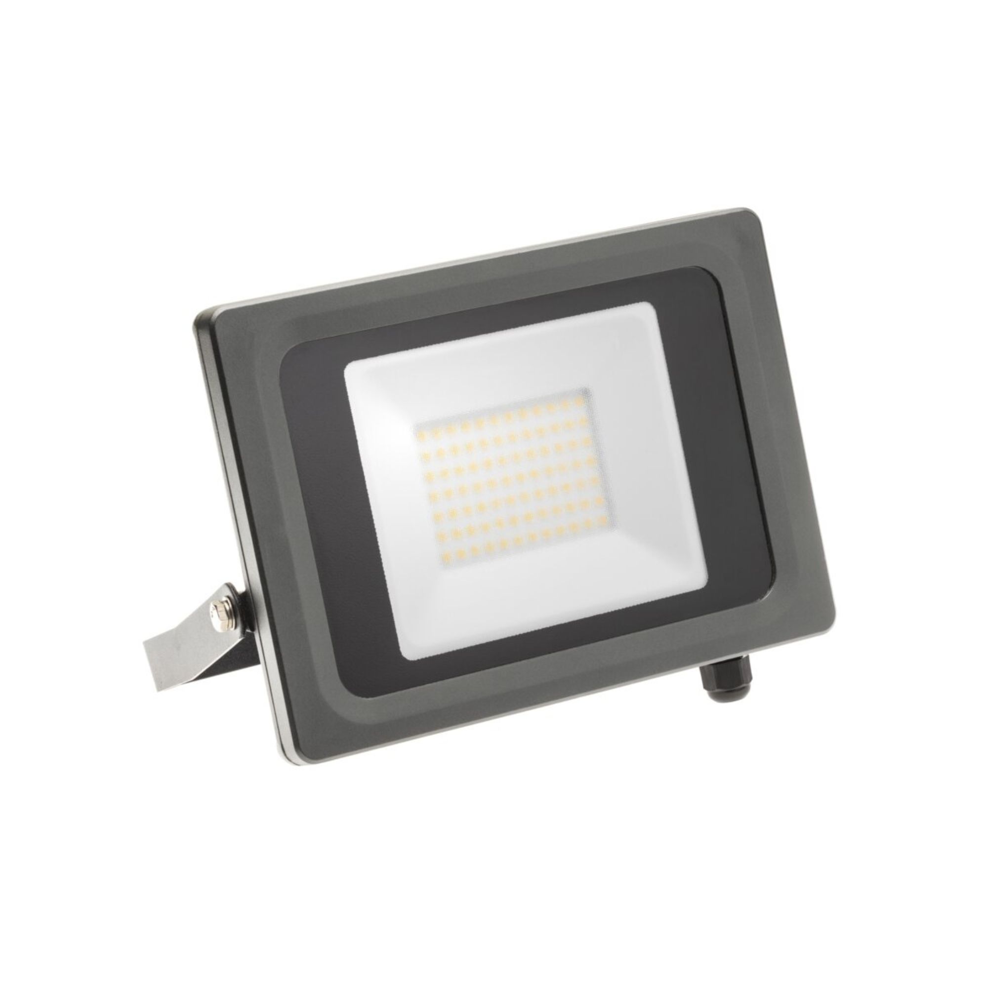 LED prozektor VIPER, 50W, 4500lm, 4000K, IP65, 120*, GTV